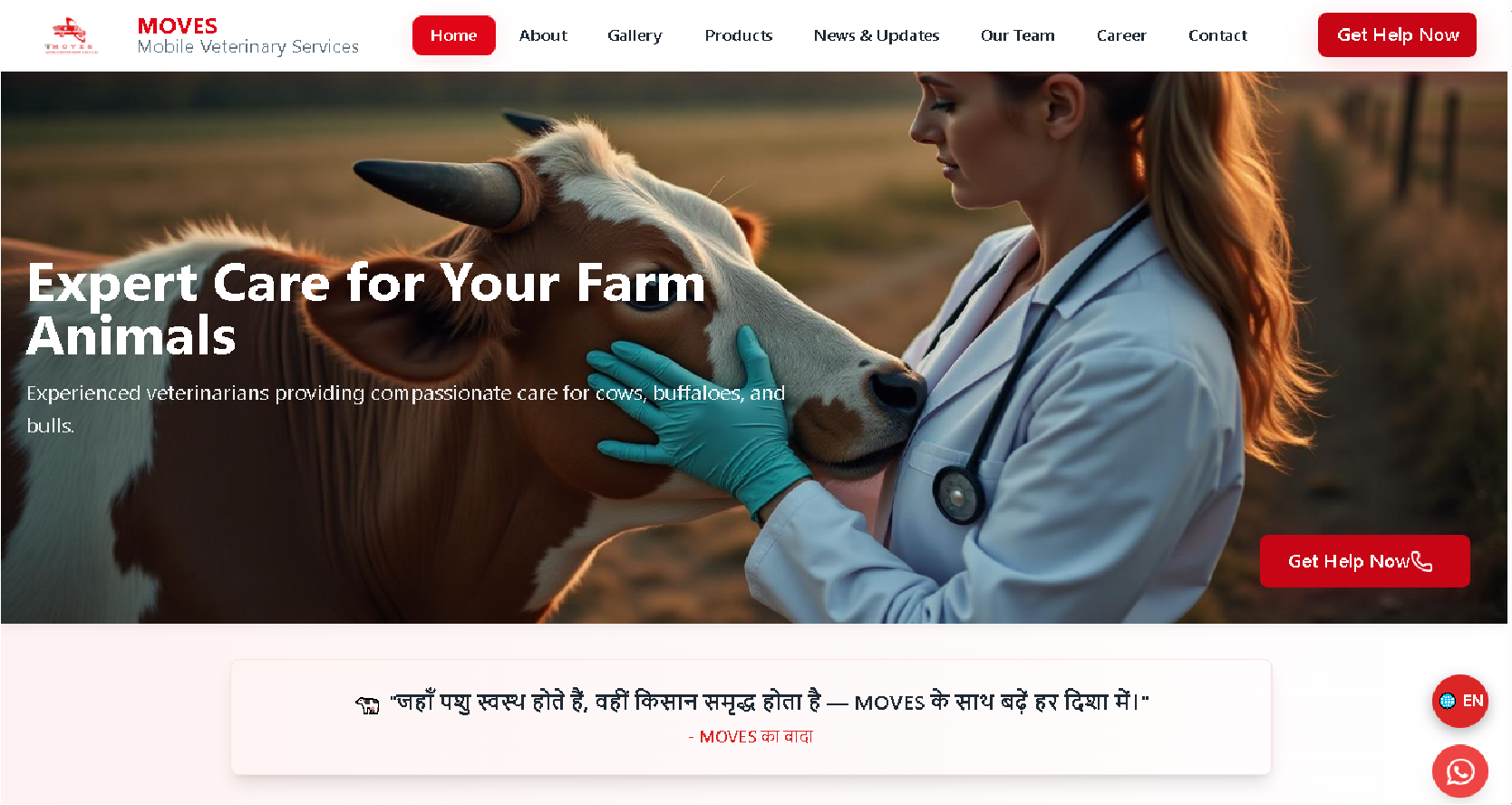 MOVES Website